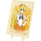 美少女戰士 Sailor Venus 愛野美奈子 迷你 PUZZLE