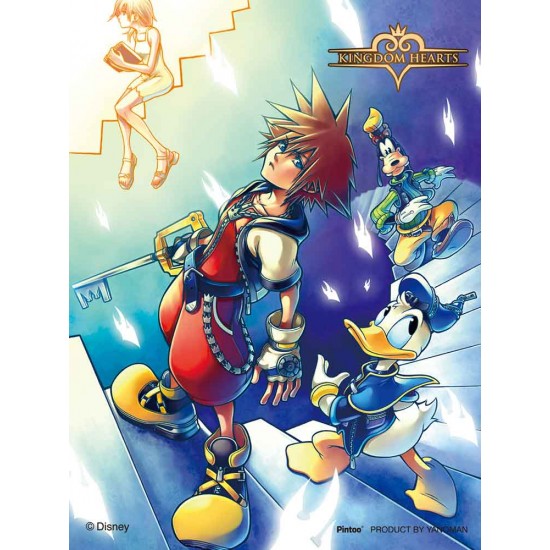 KINGDOM HEARTS CHAIN OF MEMORIES 透光 迷你PUZZLE