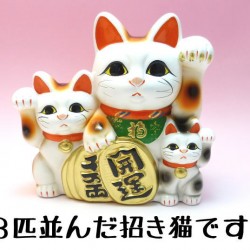 日本製 常滑燒 陶瓷 6號 三匹貓