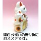 日本製 常滑燒 陶瓷 6號 三匹貓
