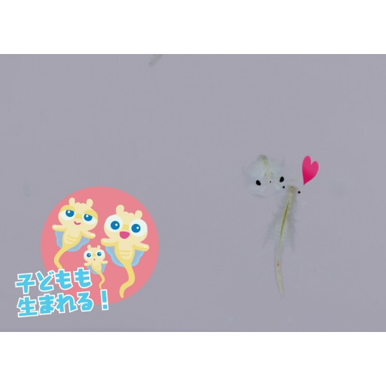  日本 Happinet Sea Monkeys 神奇水馬騮 