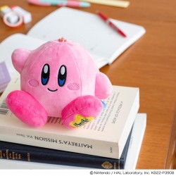 星之卡比 KIRBY 30th週年 宝島社月刊 毛絨拉鏈袋 (不連月刊) 星之卡比 KIRBY 30th週年 宝島社月刊 毛絨拉鏈袋 (不連月刊)