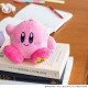 星之卡比 KIRBY 30th週年 宝島社月刊 毛絨拉鏈袋 (不連月刊)